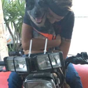 Meet your Posher, Bree